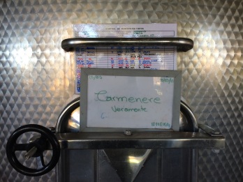The Camenere grapes were originally French, but nowadays can only be found in Chile