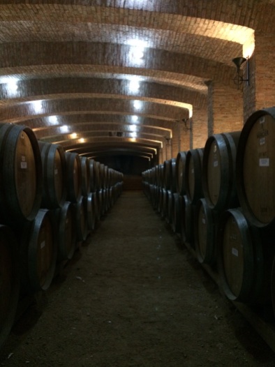 Viña Undurraga's cellar