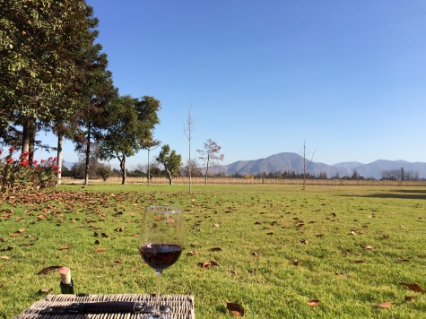 Chilean Carmenere wine with a view of the Andes!