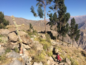 Jules arriving at the top of the Colca Canyon
