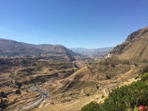 The Colca Canyon is part of a protected natural reserve
