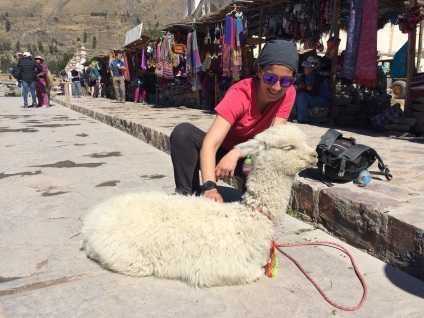 Snapping pictures with baby alpacas are a popular way to ask tourists for a 'propina'
