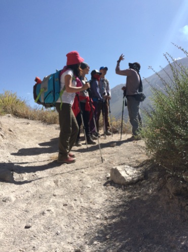 Rafa talks about how the locals make use of Colca's flora