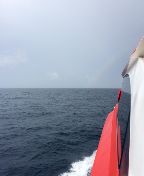 On our way to see the humpback whales! The rain was annoying, but treated us with to a nice rainbow