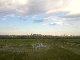 In our way to Xi'an, we caught a glimpse of modern Beijing across a stretch of old China rice fields