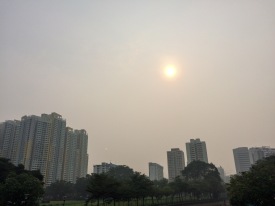 The haze caused by the Indonesian forest fires we saw in Malaysia was also hovering Singapore