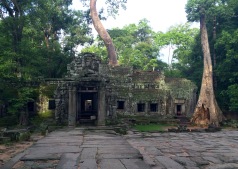 This is Ta Prohm, best known for its role in Lara Croft's Tomb Raider movie