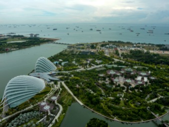 The view of the Gardens by the Bay is breathtaking (photo credits: Rossana Santos)