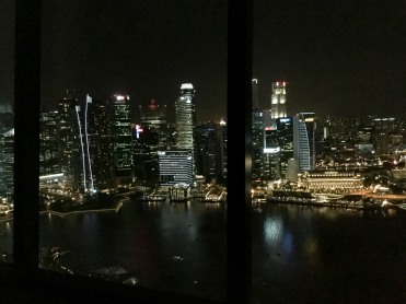 Want to splurge for a night at the Marina Bay Sands? This is what you're in for (photo credits: Ricardo Trindade)