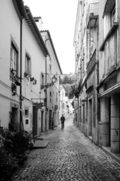 A charming cobblestone street, Tomar, Portugal (18mm, 1/240s, f3.5, ISO 250)
