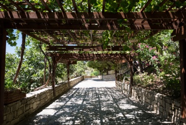 A welcome shade near the Phaistos ruins (16mm, 1/300s, f5.6, ISO 200)