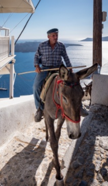 Only mules can carry loads over the steep and narrow streets of Fira, Santorini (16mm, 1/400s, f8, ISO 200)