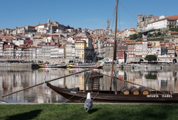 Porto, Portugal (35mm, 1/420s, f10, ISO 420)