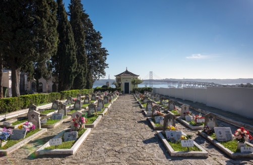 View of the river from Prazeres Cemetery, Lisbon, Portugal (16mm, f16, 1/170s, ISO 200, PPL1-Corrected)