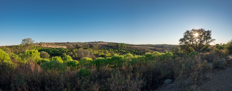 Near Furnazinhas, Algarve, Portugal (3-picture panorama, 16mm, f5.6, 1/320s, ISO 200, PPL2-Enhanced)