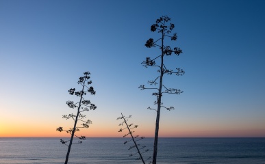 Sunrise at Sagres, Algarve, Portugal (16mm, f5.6, 1/300s, ISO 200, PPL1-Corrected)