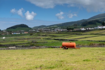 Terceira, Azores (35mm, f5.6, 1/1100s, ISO 200, PPL1-Corrected)