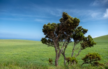 São Jorge, Azores, Portugal (18mm, f5.6, 1/750s, ISO 200, PPL3-Altered)
